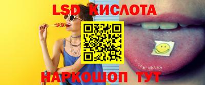 прущие грибы Владивосток