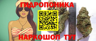 прущие грибы Владивосток