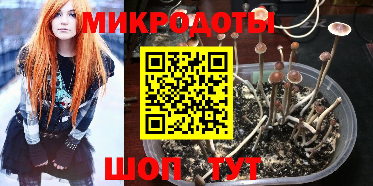 закладка  Галлюциногенные грибы Cubensis  Можайск  Вход с VPN  Галлюциногенные грибы MAGIC MUSHROOMS 