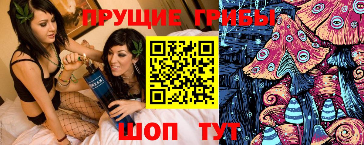 Галлюциногенные грибы Psilocybe Можайск